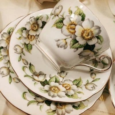 /mark_images/RoyalAlbert/royal_whiteDogwood4.jpg